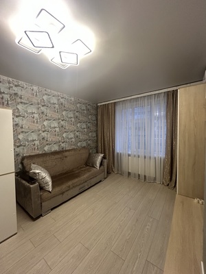 Сдам однокомнатную (1-комн.) квартиру, Горького ул, 36, Рязань г