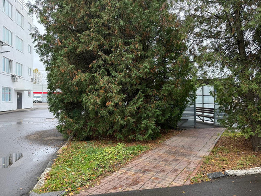 Сдам склад 618 м2, Люблинская ул, 9, Щербинка г