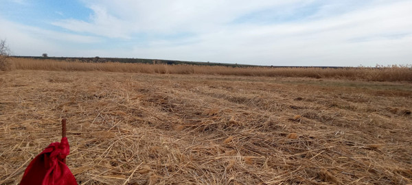 Продам землю для коммерческого использования 100 соток, Фермерское хоз., Благовещенская ст-ца