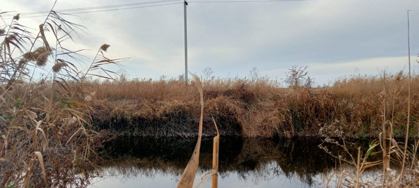 Продам землю для коммерческого использования 100 соток, Фермерское хоз., Благовещенская ст-ца