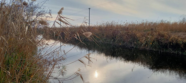 Продам землю для коммерческого использования 100 соток, Фермерское хоз., Благовещенская ст-ца
