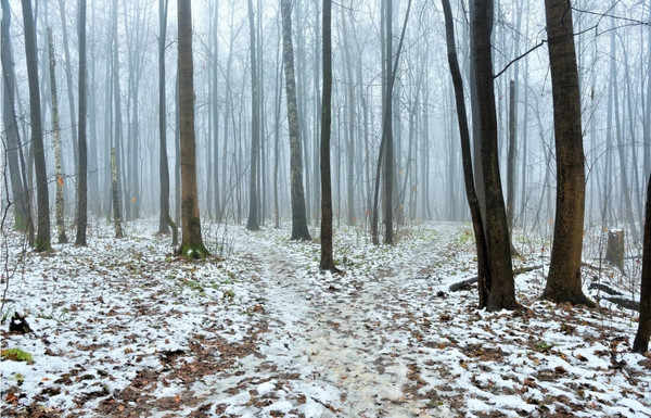 Продам дом, подсобного хозяйства Минзаг п, 0 км от города