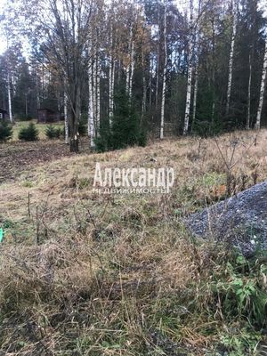 Продам участок 10 соток, ЛПХ, Заозерная ул, Райвио п, 200 км от города