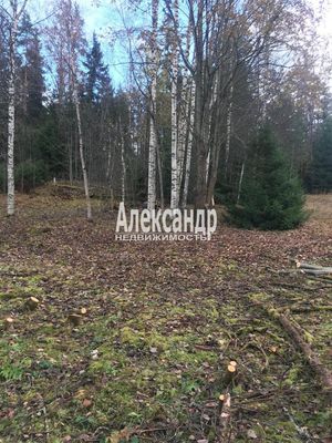 Продам участок 10 соток, ЛПХ, Заозерная ул, Райвио п, 200 км от города