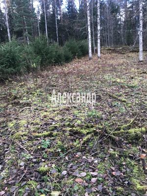 Продам участок 10 соток, ЛПХ, Заозерная ул, Райвио п, 200 км от города