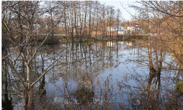 Продам двухкомнатную (2-комн.) квартиру, Сержанта Мишина ул, 83к2, Калининград г