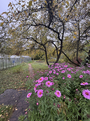 Продам дом, Красная горка ул, 20, Соболиха д, 0 км от города