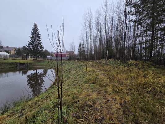 Продам участок 16 соток, ИЖС, Ягодная ул, 3а, Новотроицк д, 0 км от города