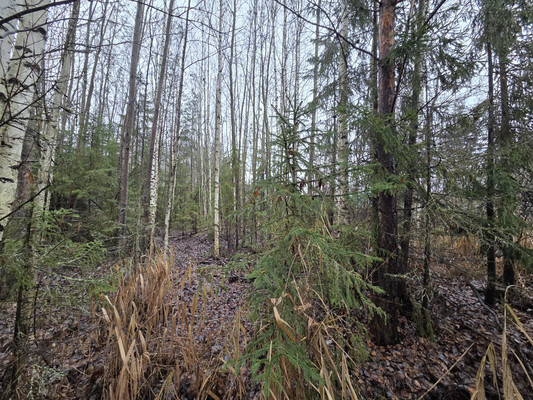 Продам участок 16 соток, ИЖС, Ягодная ул, 3а, Новотроицк д, 0 км от города