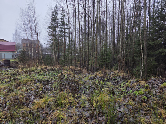 Продам участок 16 соток, ИЖС, Ягодная ул, 3а, Новотроицк д, 0 км от города