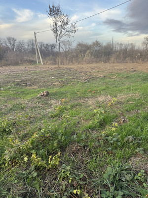 Продам участок 8,1 соток, ИЖС, Хвойная ул, Супсех с, 0 км от города