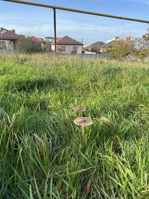 Продам участок 17,5 соток, ИЖС, Тургенева ул, Супсех с, 0 км от города