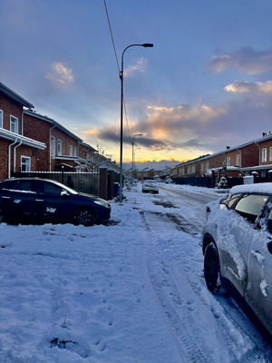 Продам таунхаус, Шумская (Новая Ижора тер.) ул, 22, Шушары п, 0 км от города