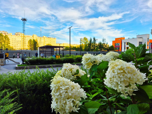 Продам двухкомнатную (2-комн.) квартиру, Парфёновская ул, 14к1, Санкт-Петербург г