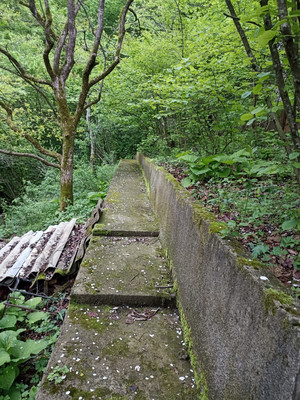 Продам дачу, СТ Машиностроитель тер, Агой с, 0 км от города