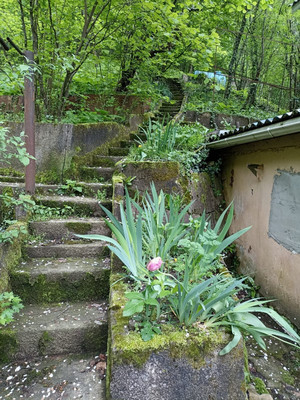 Продам дачу, СТ Машиностроитель тер, Агой с, 0 км от города