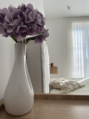 Сдам коттедж, Спокойная ул, 18, Новая Мельница д, 0 км от города