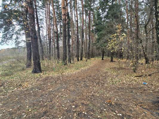 Продам двухкомнатную (2-комн.) квартиру, Объездная дорога ул, 2, Сосновый Бор п