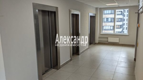 Сдам однокомнатную (1-комн.) квартиру, Торфяная дор, 15к3, Санкт-Петербург г