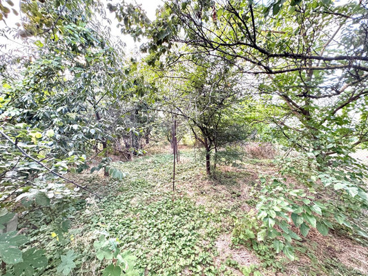 Продам дом, Широкая ул, 305, Елизаветинская ст-ца, 0 км от города