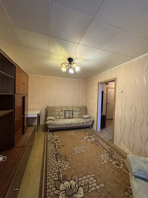 Сдам однокомнатную (1-комн.) квартиру, 217, Южный-СМУ-14 тер. СНТ