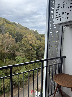 Сдам однокомнатную (1-комн.) квартиру, Искры (Адлерский р-н) ул, 88к3, Сочи г