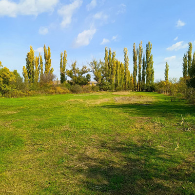 Продам дом, Шоссейная ул, 70, Владимировка с, 0 км от города