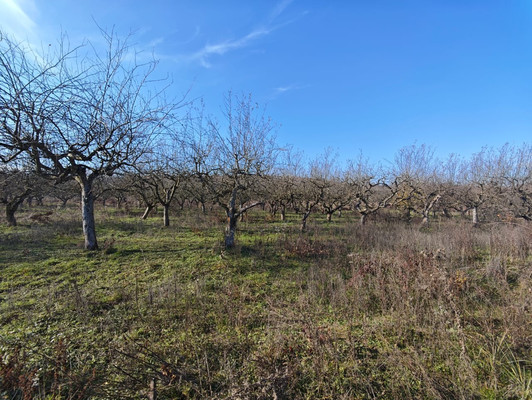 Продам участок 6,5 соток, ИЖС, ОДС ул, Нальчик г, 0 км от города