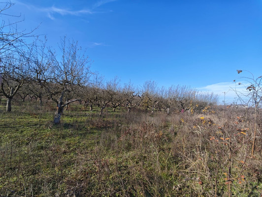 Продам участок 6,5 соток, ИЖС, ОДС ул, Нальчик г, 0 км от города