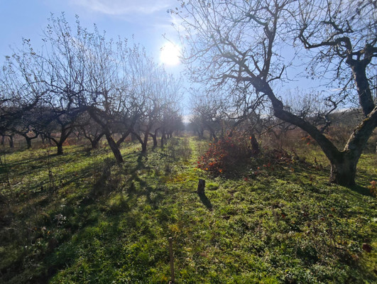 Продам участок 6,5 соток, ИЖС, ОДС ул, Нальчик г, 0 км от города