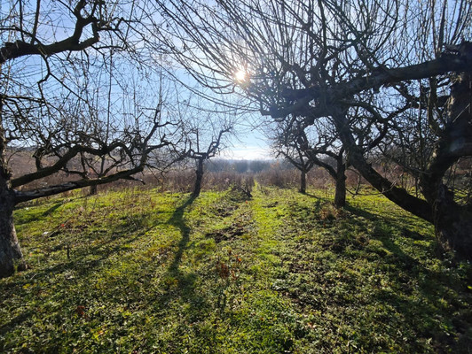 Продам участок 6,5 соток, ИЖС, ОДС ул, Нальчик г, 0 км от города