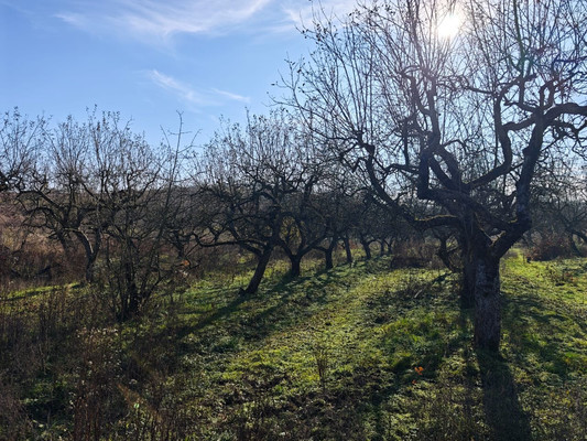 Продам участок 6,5 соток, ИЖС, ОДС ул, Нальчик г, 0 км от города