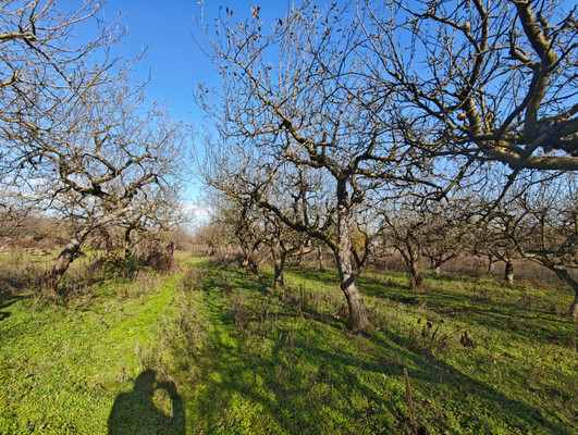 Продам участок 6,5 соток, ИЖС, ОДС ул, Нальчик г, 0 км от города