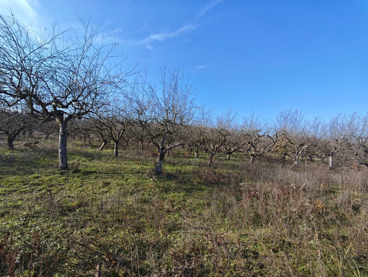 Продам участок 6,5 соток, ИЖС, ОДС ул, Нальчик г, 0 км от города