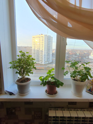 Продам однокомнатную (1-комн.) квартиру, Зари ул, 1, Нижний Тагил г