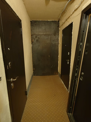 Продам однокомнатную (1-комн.) квартиру, Зари ул, 1, Нижний Тагил г