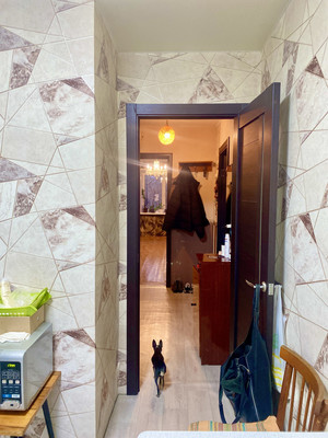 Продам трехкомнатную (3-комн.) квартиру, Орджоникидзе ул, 2, Нижний Тагил г