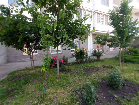 Продам трехкомнатную (3-комн.) квартиру, Западный Обход ул, 65к1, Краснодар г