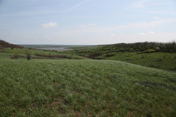 Продам землю для коммерческого использования 83 соток, Фермерское хоз., Прифермский пер, 2, Крюково х