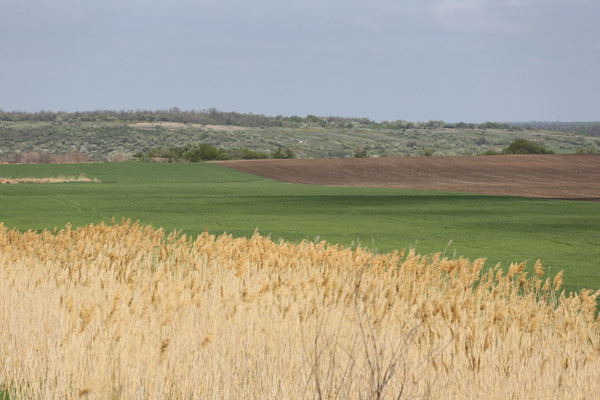 Продам землю для коммерческого использования 83 соток, Фермерское хоз., Прифермский пер, 2, Крюково х