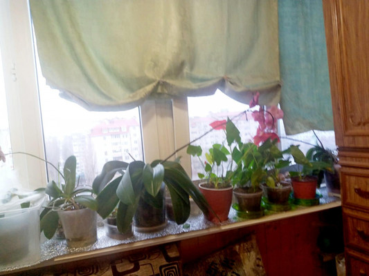 Продам двухкомнатную (2-комн.) квартиру, Маршала Жукова ул, 7, Воронеж г