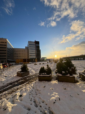 Продам однокомнатную (1-комн.) квартиру, Пулковское ш, 40к3, Санкт-Петербург г