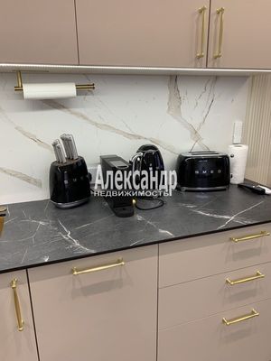 Сдам однокомнатную (1-комн.) квартиру, Измайловский б-р, 11, Санкт-Петербург г