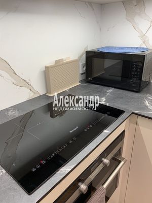 Сдам однокомнатную (1-комн.) квартиру, Измайловский б-р, 11, Санкт-Петербург г