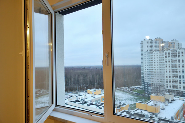 Продам однокомнатную (1-комн.) квартиру, Пейзажная ул, 24к3, Санкт-Петербург г