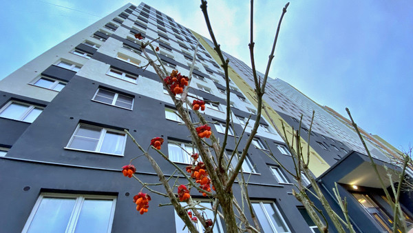 Продам однокомнатную (1-комн.) квартиру, Пейзажная ул, 24к3, Санкт-Петербург г