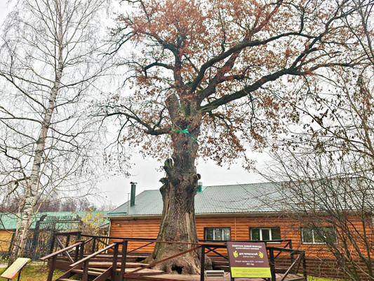 Продам коттедж, Коммунистическая ул, 59, Воронеж г, 0 км от города