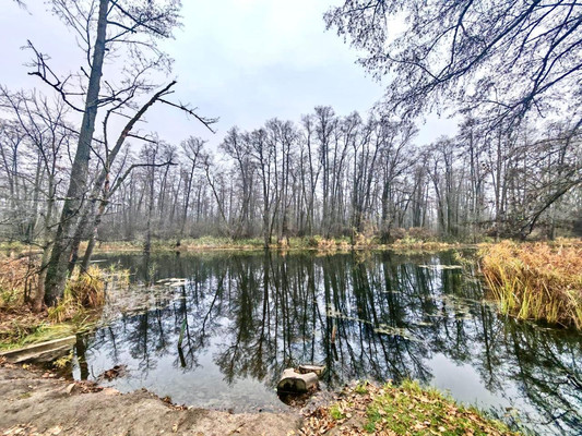 Продам коттедж, Коммунистическая ул, 59, Воронеж г, 0 км от города