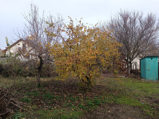 Продам дом, Райская (Строитель тер. ТСН) ул, Айкаван п, 0 км от города