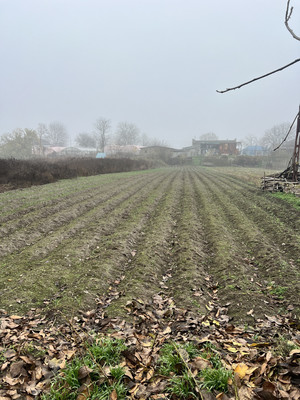 Продам дом, Мичурина ул, Сарский х, 0 км от города
